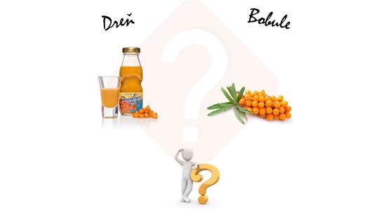 Bobule rakytníka, alebo rakytníková dreň - ktorú si vybrať?