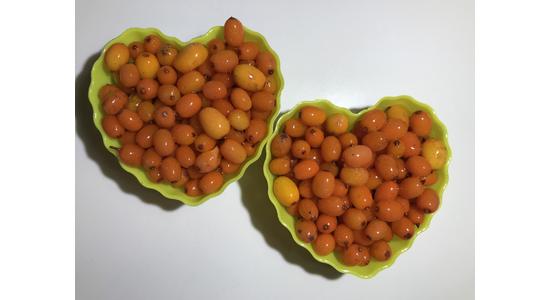 Rakytník - ako dávkovať a užívať rakytník