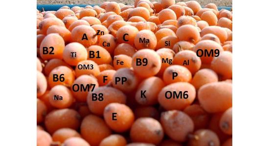 Vitamín C je jedným z kľúčových “podporovateľov” nášho imunitného systému